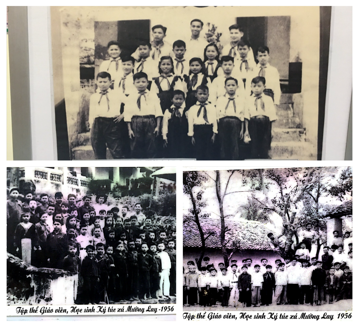 ''A collage of pictures of a group of children

Description automatically generated''