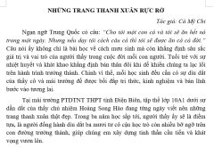 NHỮNG TRANG THANH XUÂN RỰC RỠ