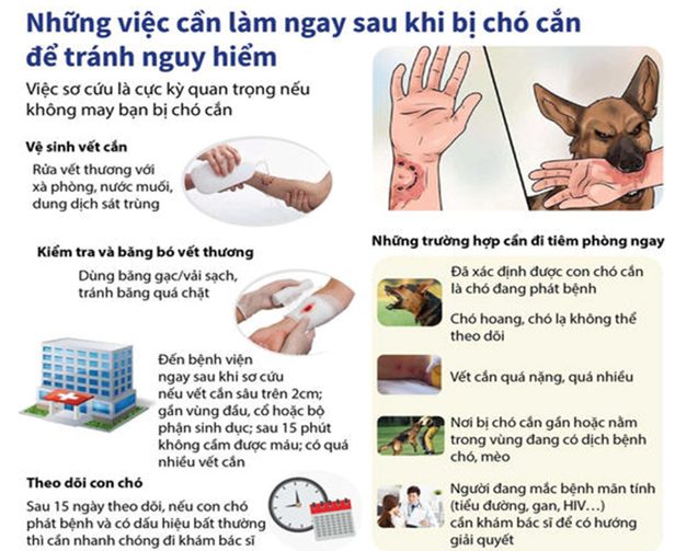 BỆNH DẠI VÀ CÁCH PHÒNG CHỐNG